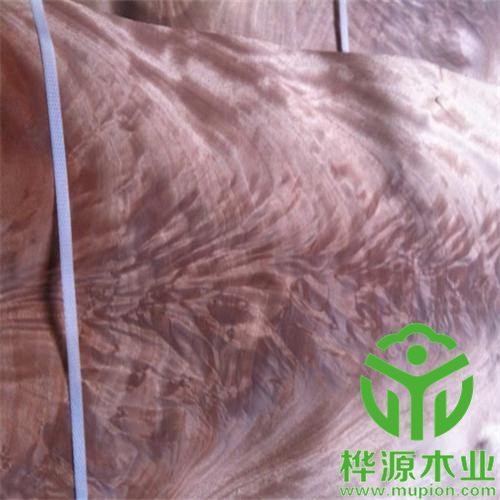 奧古曼樹杈木皮品質保證，樹杈木皮0.5mm種類齊全